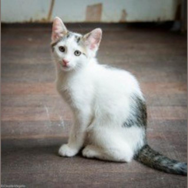 Photo of Titan Ec0090