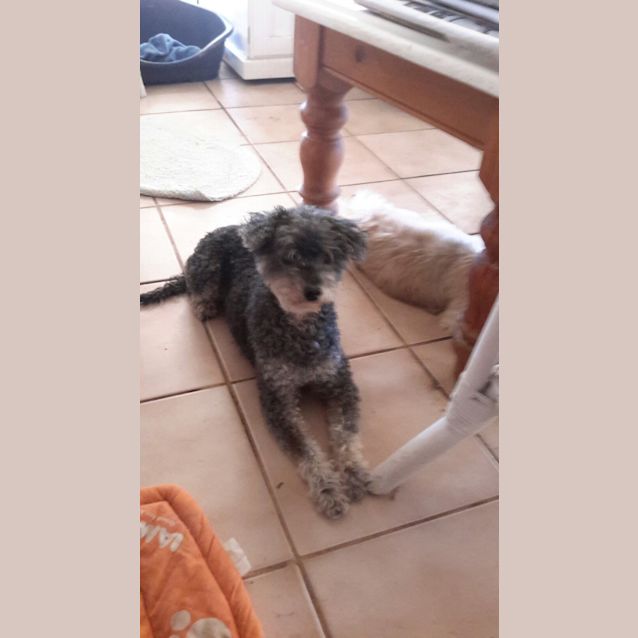 Photo of Charlie
