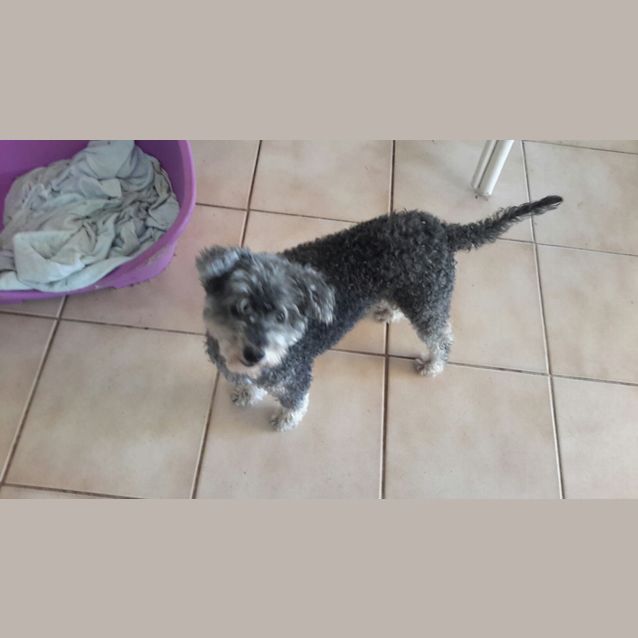 Photo of Charlie