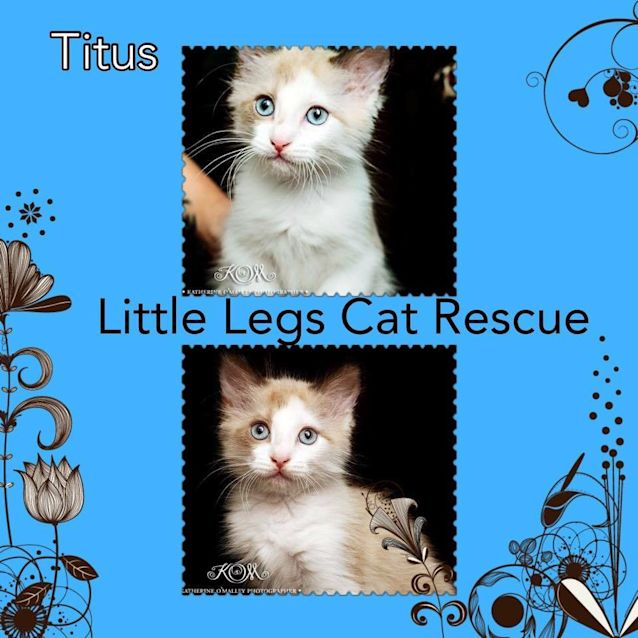 Photo of Titus 