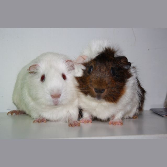 Photo of Lighting & Bolt