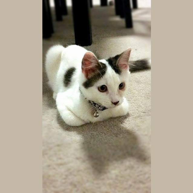 Photo of Looking For Happily Ever After 