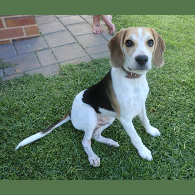 Photo of Murphy *On Trial In His New Home*