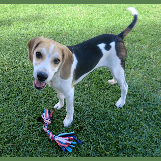 Photo of Murphy *On Trial In His New Home*