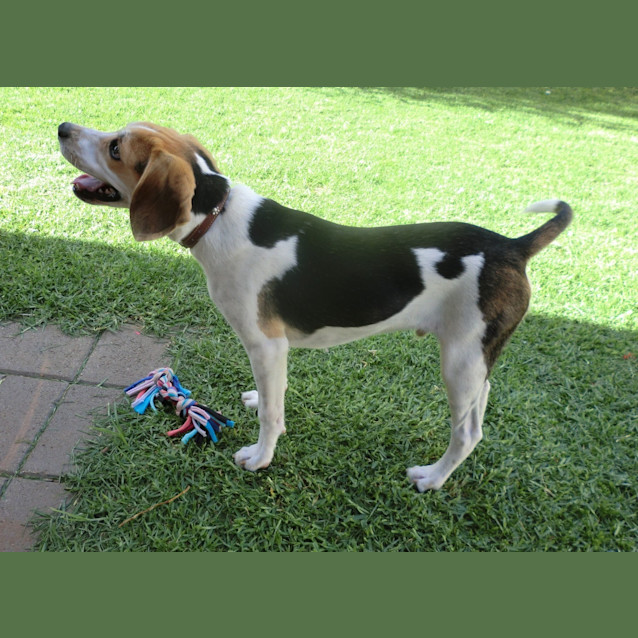 Photo of Murphy *On Trial In His New Home*