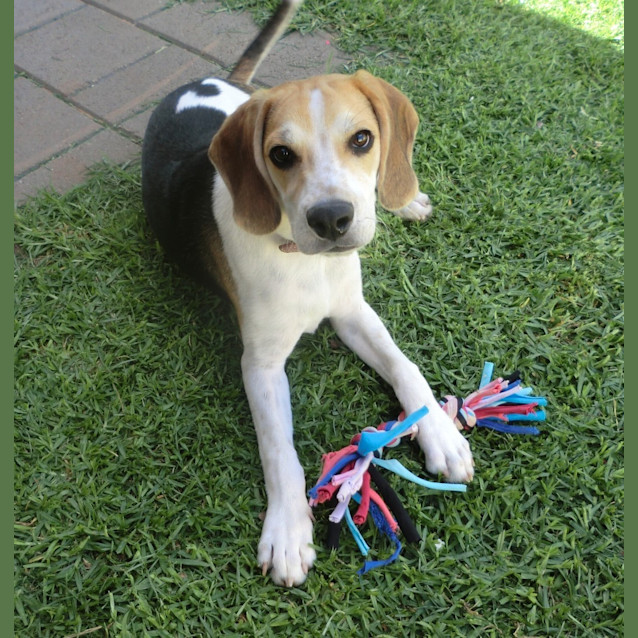 Photo of Murphy *On Trial In His New Home*