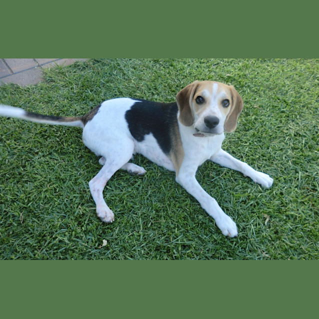 Photo of Murphy *On Trial In His New Home*