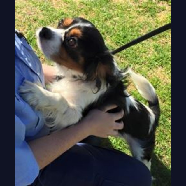 Photo of Charlie Dl869