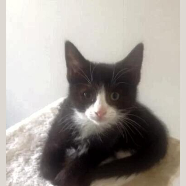 Photo of Trudy