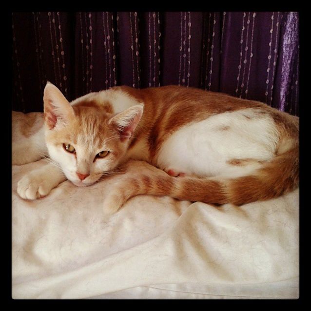 Photo of Charles