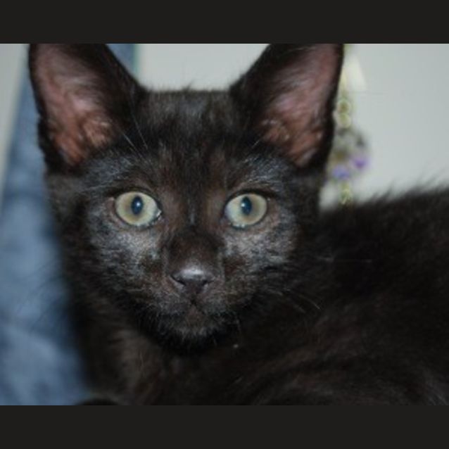 Photo of Astro