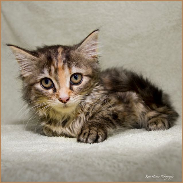 Photo of Beatrice