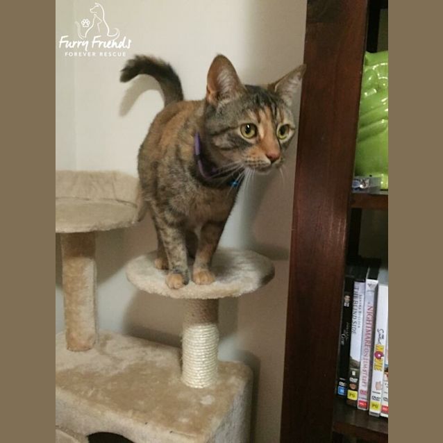 Photo of Zoe