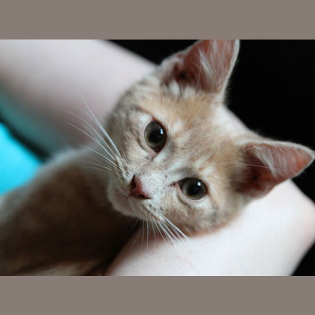 Photo of Buddy 