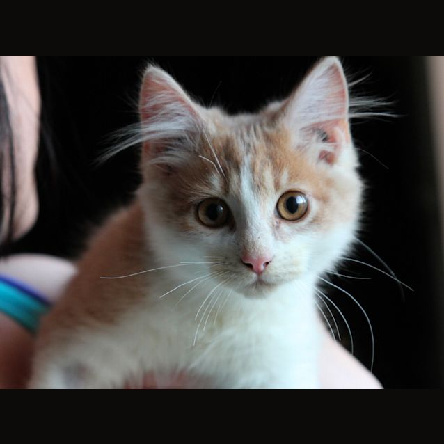 Photo of Teddy