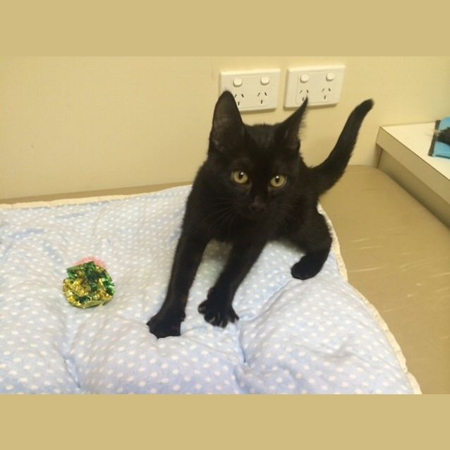 Photo of Harry (Happy Harry) :)