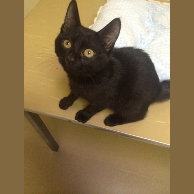 Photo of Harry (Happy Harry) :)