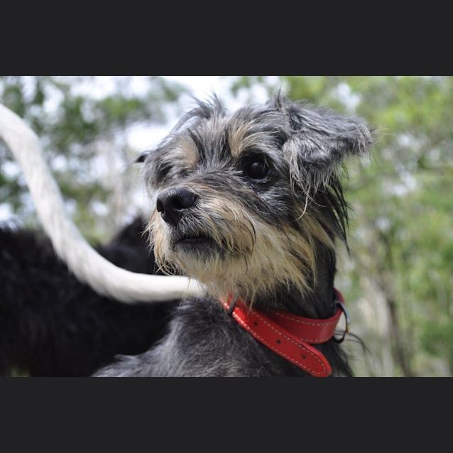 Photo of Noah 