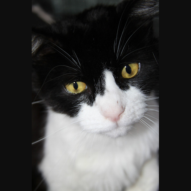 Photo of Dealer