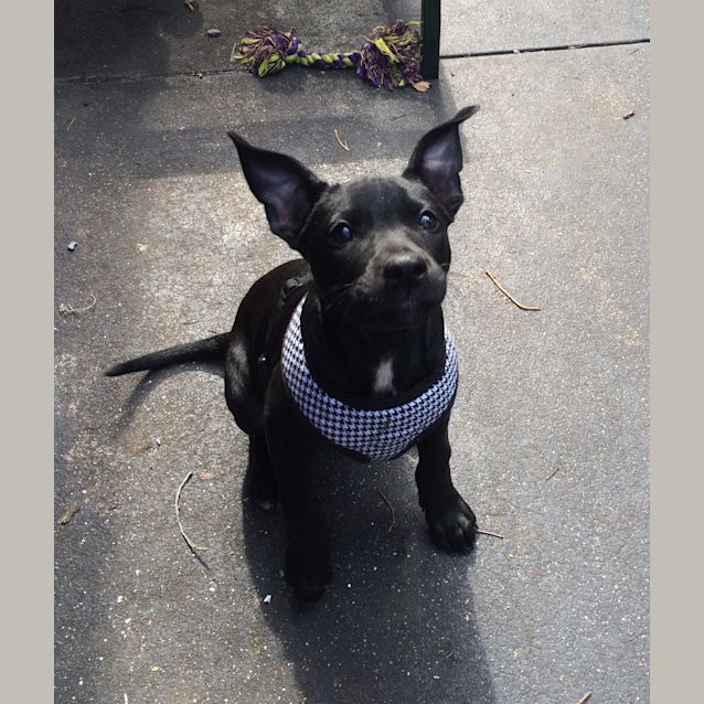 Photo of Lexie *On Trial*