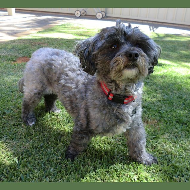 Photo of Fred *On Trial In His New Home*