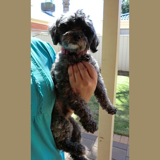 Photo of Fred *On Trial In His New Home*