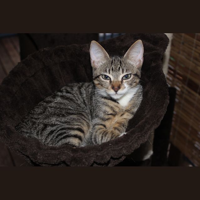 Photo of Louis