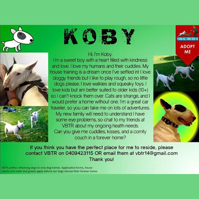 Photo of Koby