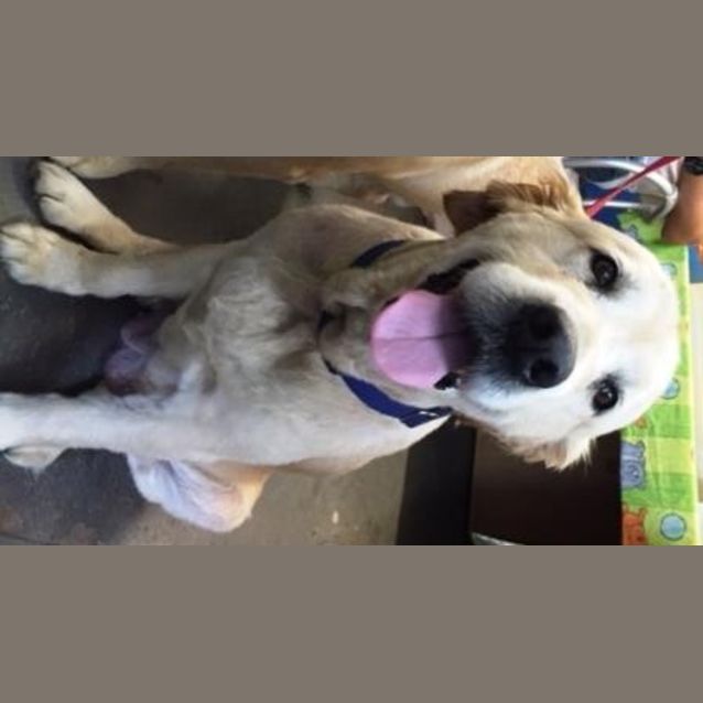 Photo of Lily