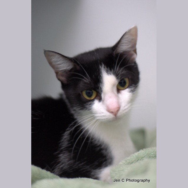 Photo of Maggie