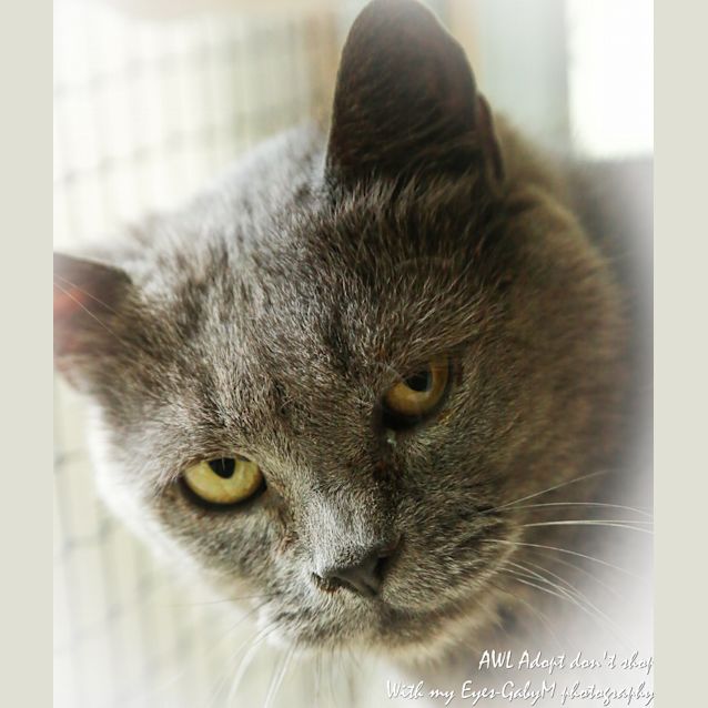 Photo of Abby