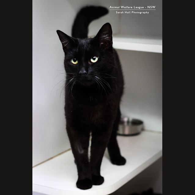 Photo of Bargo