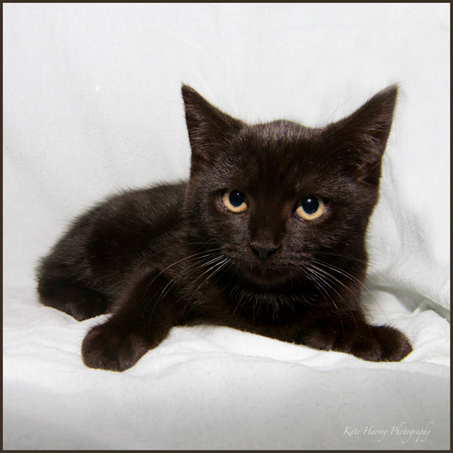Photo of Asha