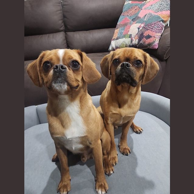 Photo of Juice (And Smudge)