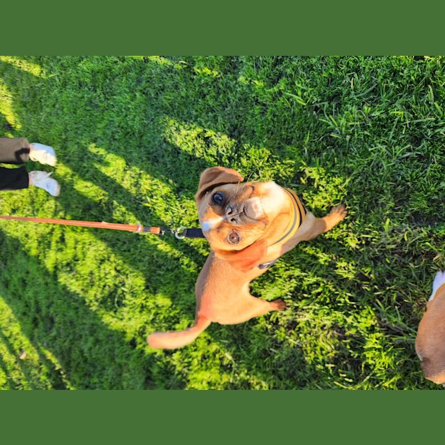 Photo of Juice (And Smudge)
