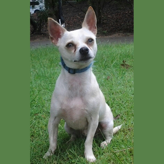 Photo of 095 1216 Colin