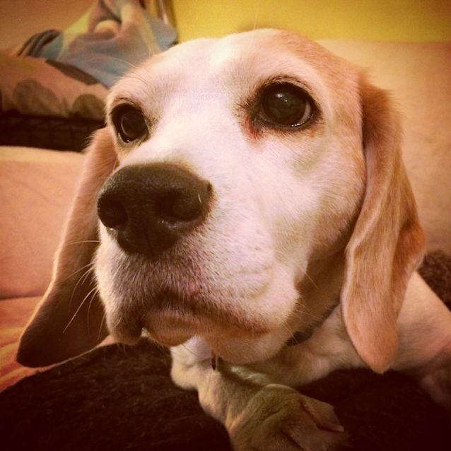 Photo of Tilli  (Im On Trial With A Wonderful Family)