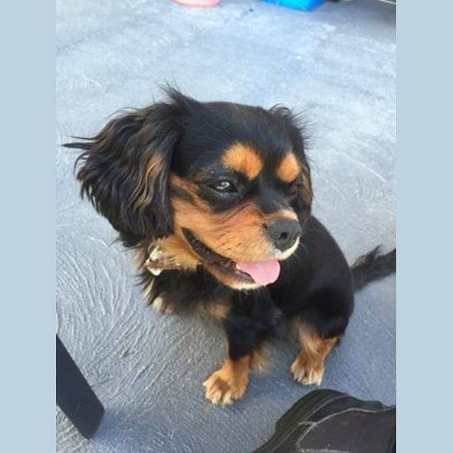 Photo of Rupert (On Trial)