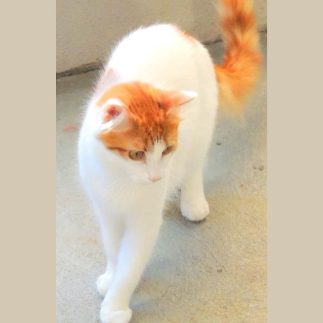Photo of Tilly