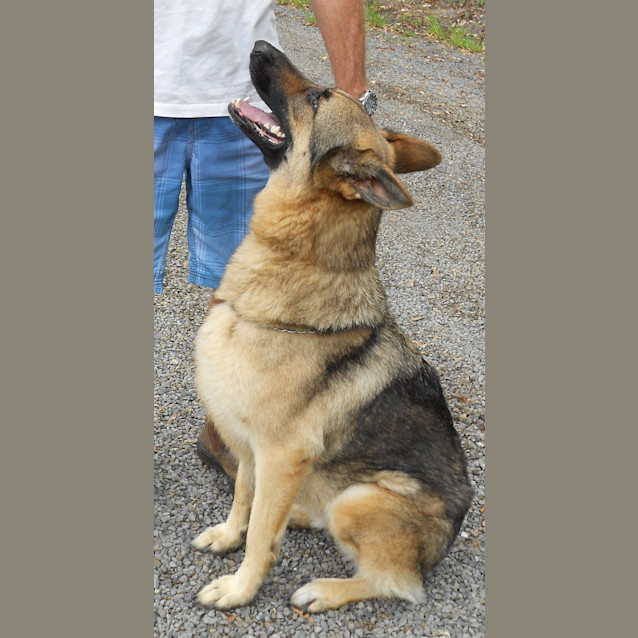 Photo of Talos