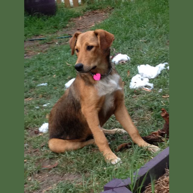 Photo of Keira