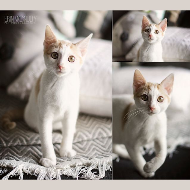 Photo of Pebbles (Are You My Bam Bam?)