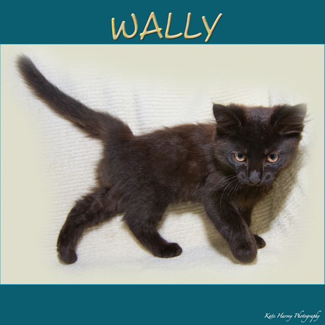 Photo of Wally