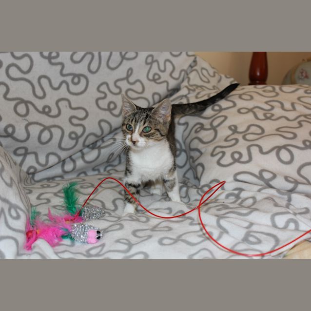 Photo of Matilda ** Adoption Day **