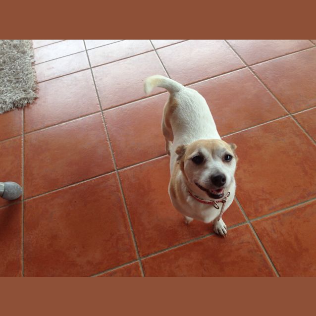 Photo of Gypsy ** A Sweet Sweet Soul **