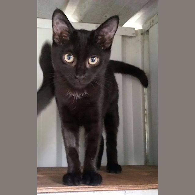 Photo of Neo & Trinity