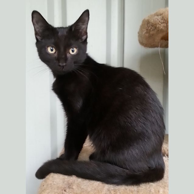 Photo of Neo & Trinity