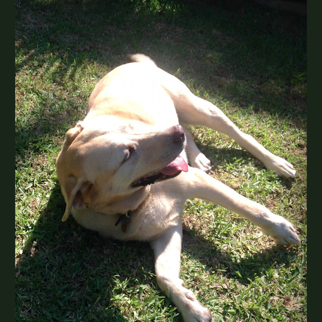 Photo of Xena ~ On Trial 17/4/15