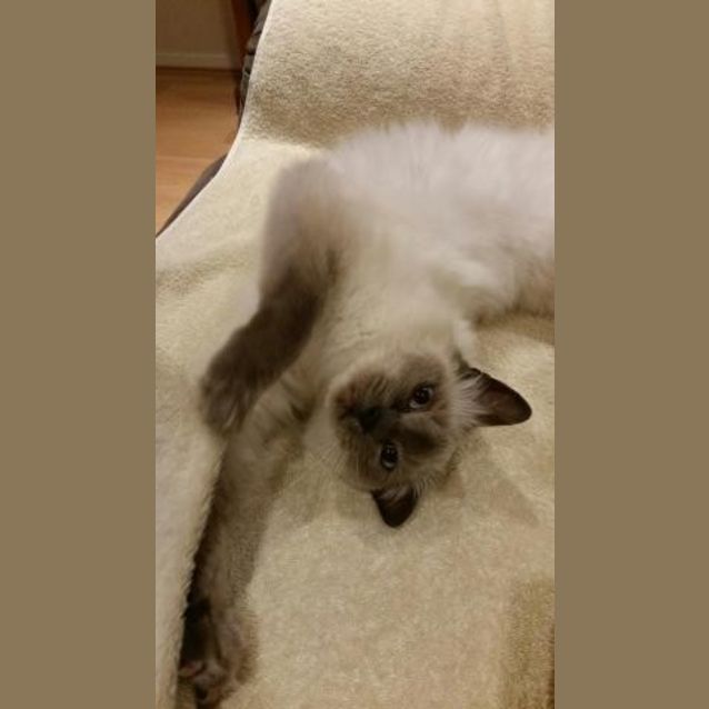 Photo of Boofy Ec0099