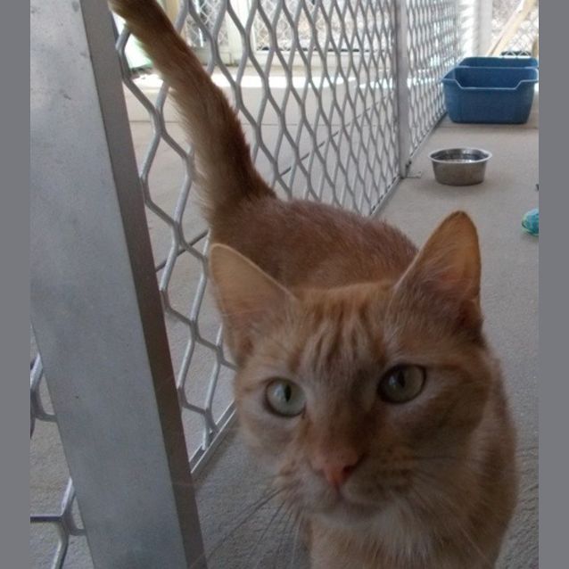 Photo of Daisy Duke